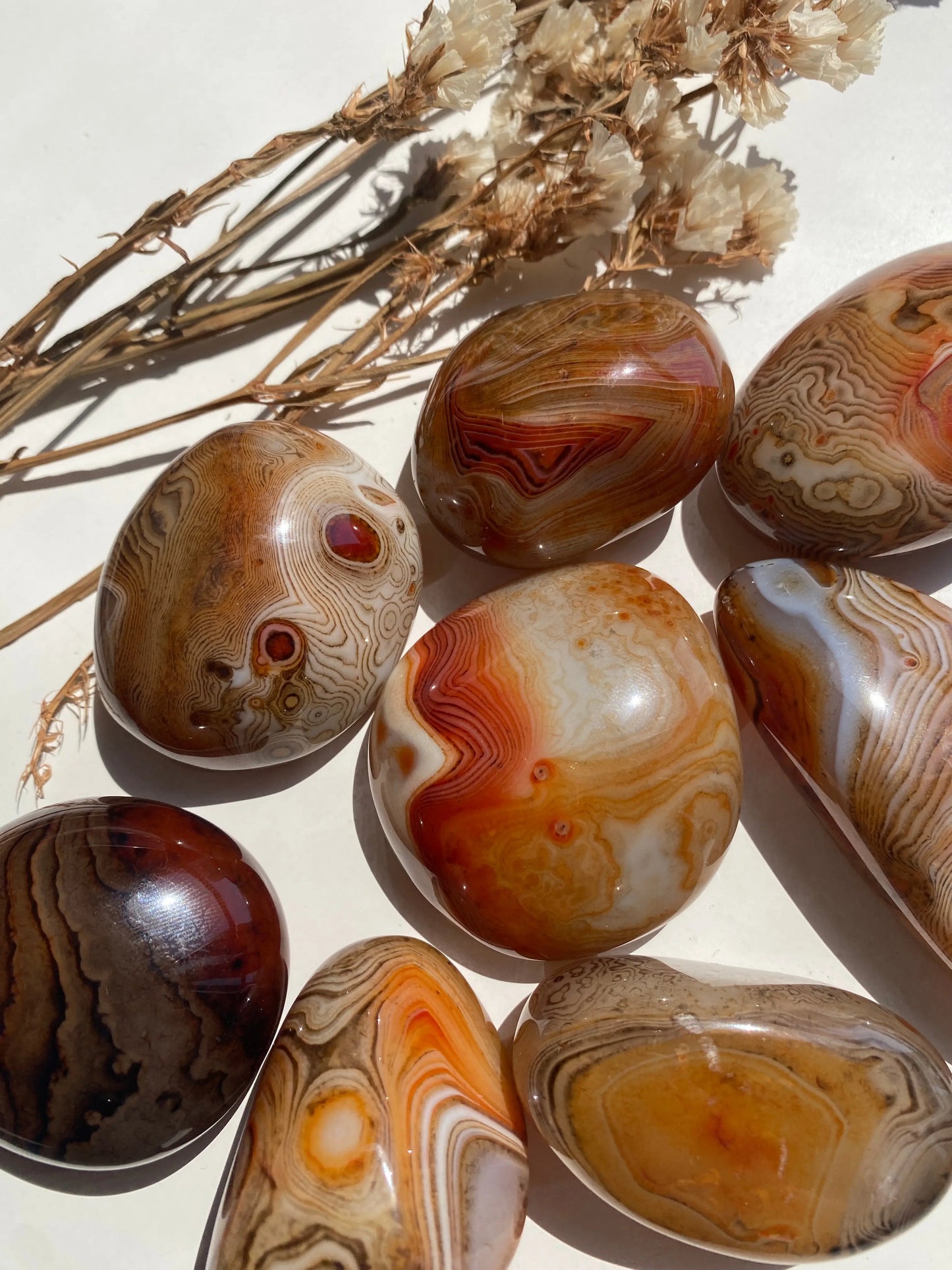 קריסטל סרדוניקס מהצד