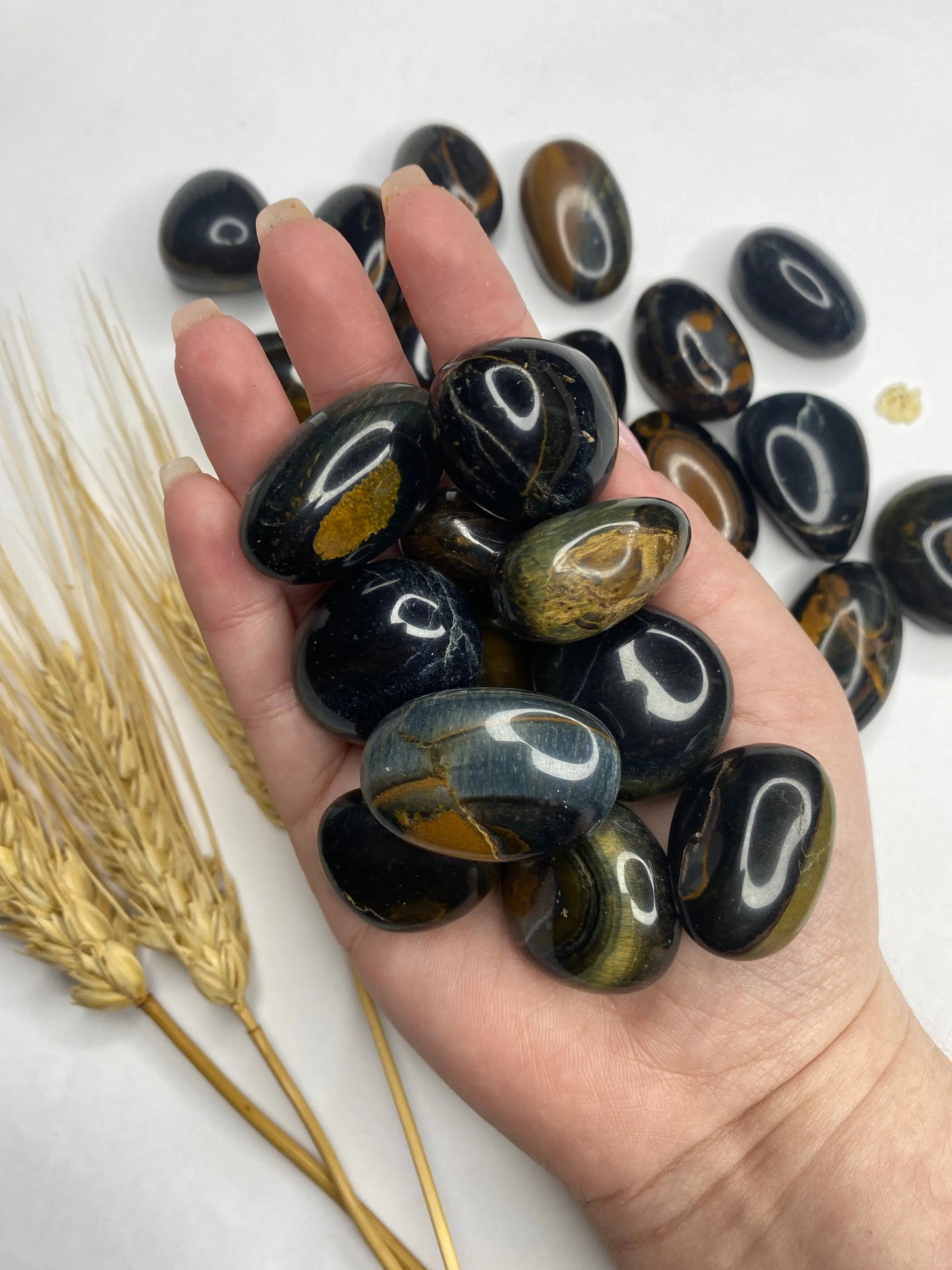 עין הנץ חלוק נחל | החלטות | הגנה | שחרור Phoenix Crystals