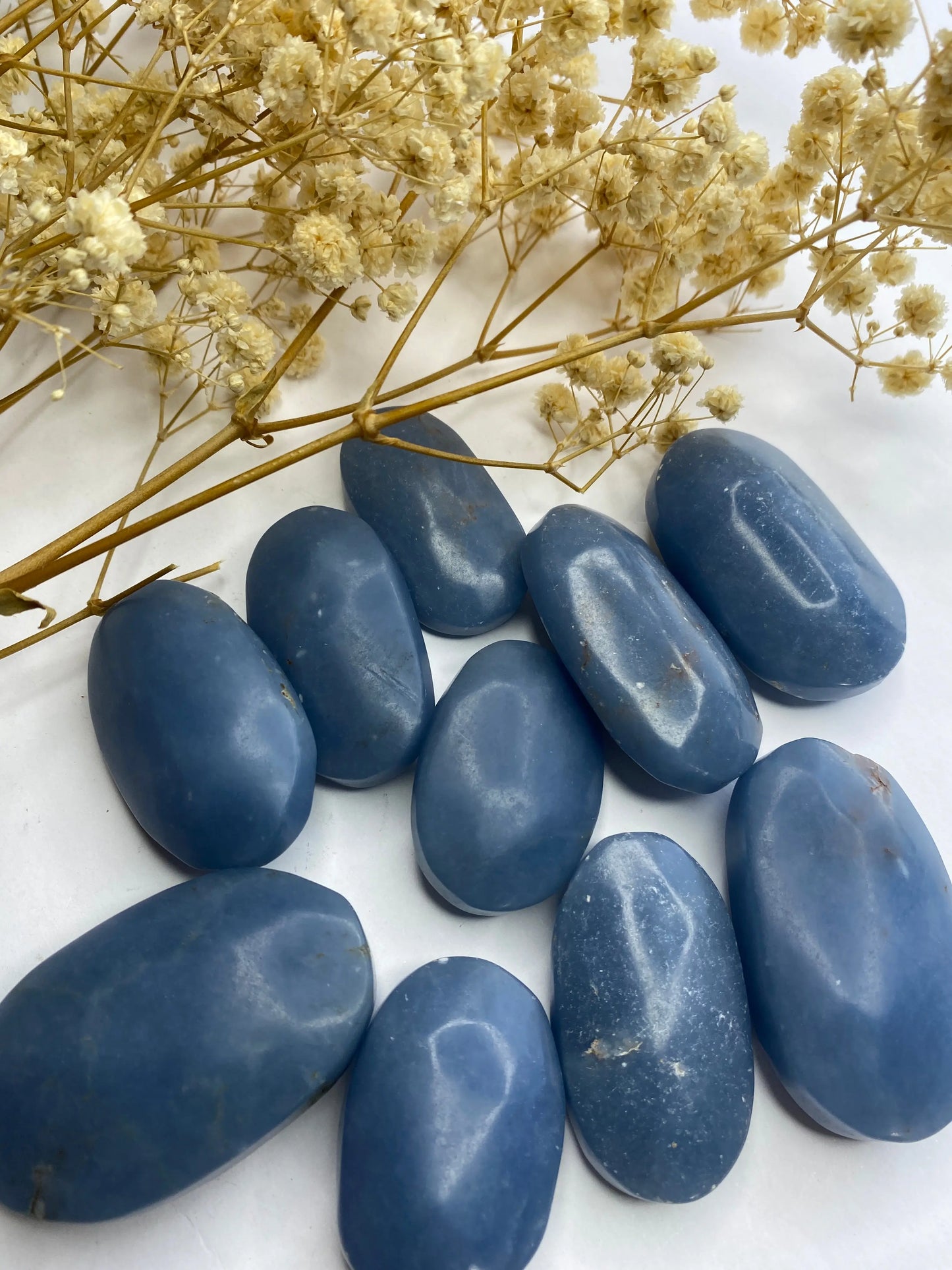 אנג׳לייט פאלם | רוגע | שלווה | אינטואיציה Phoenix Crystals