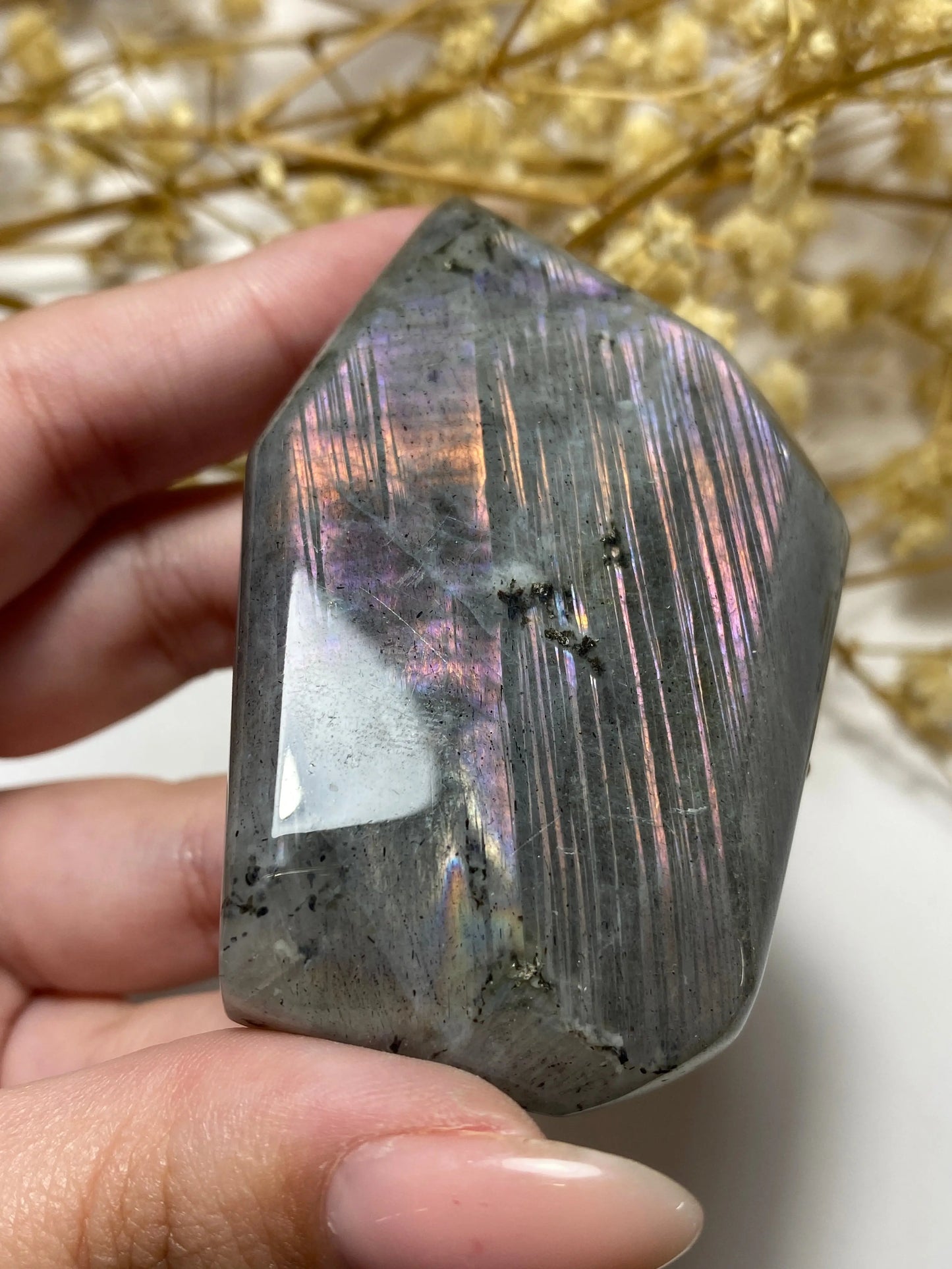 לברדורייט צורה חופשית | אינטואיציה | שינויים | עין שלישית Phoenix Crystals - פניקס קריסטלים