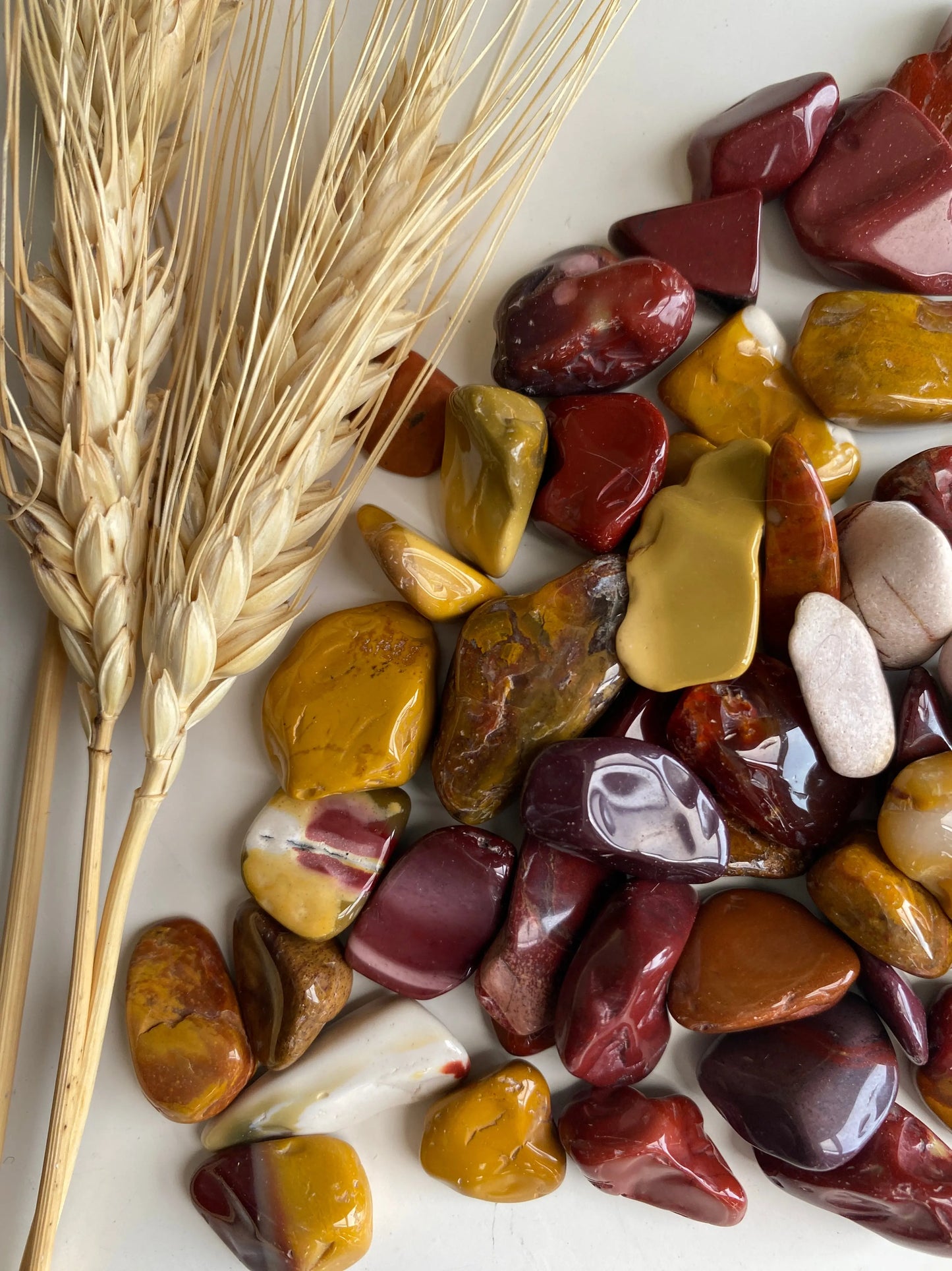 קריסטל מוקייט