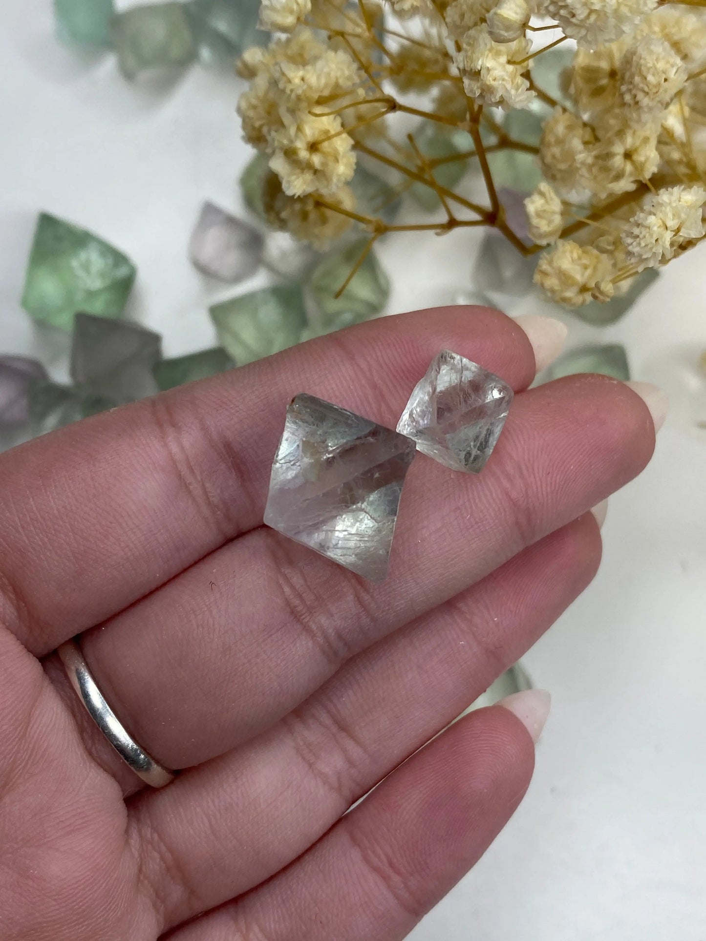 פלואורייט אוקדטהדרון גולמי | ריפוי | חיוביות | שלווה Phoenix Crystals - פניקס קריסטלים