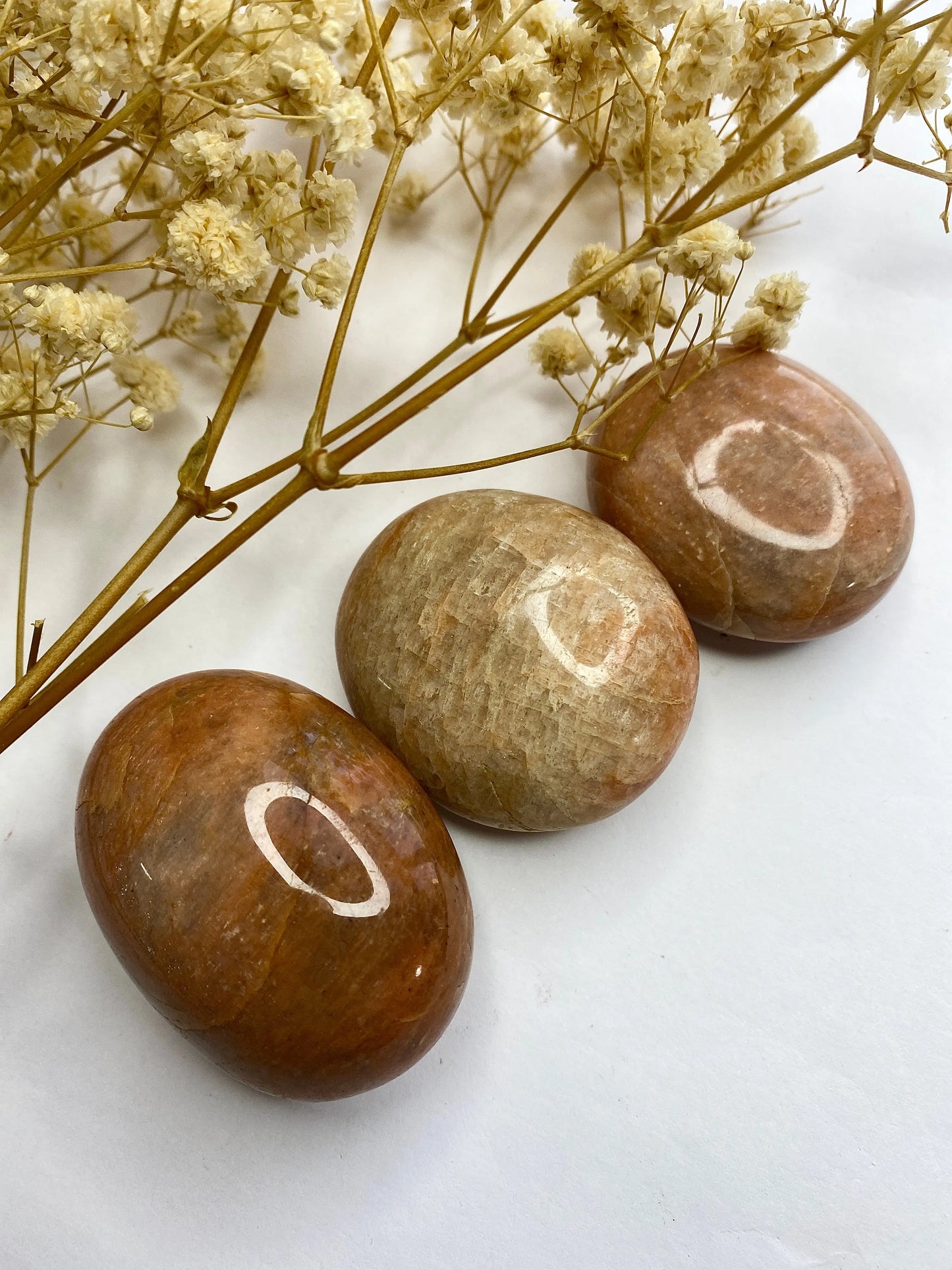 מונסטון אפרסק פאלם | צמיחה | רוגע | יצירתיות Phoenix Crystals