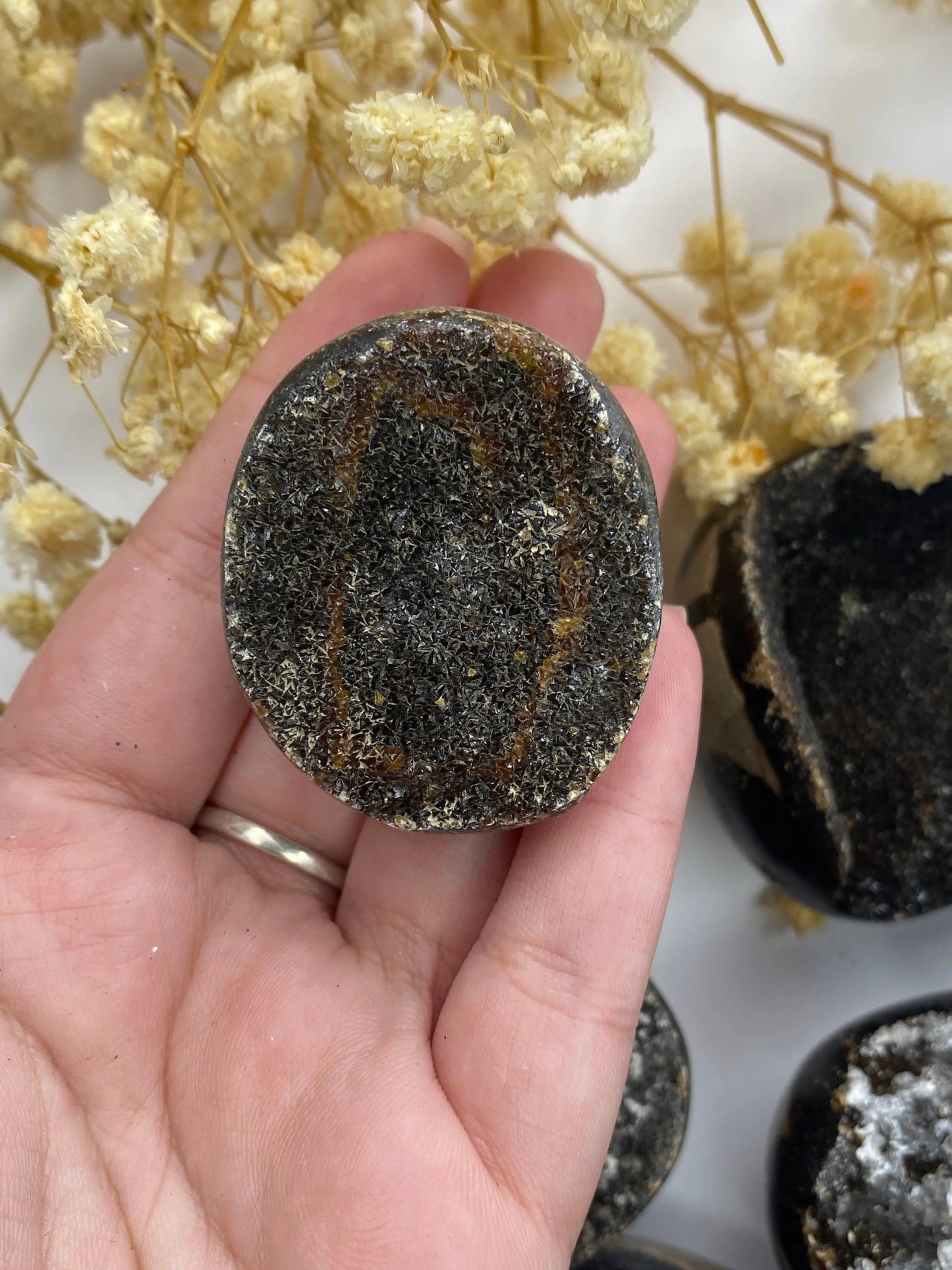 קריסטל ספטריאן מקדימה