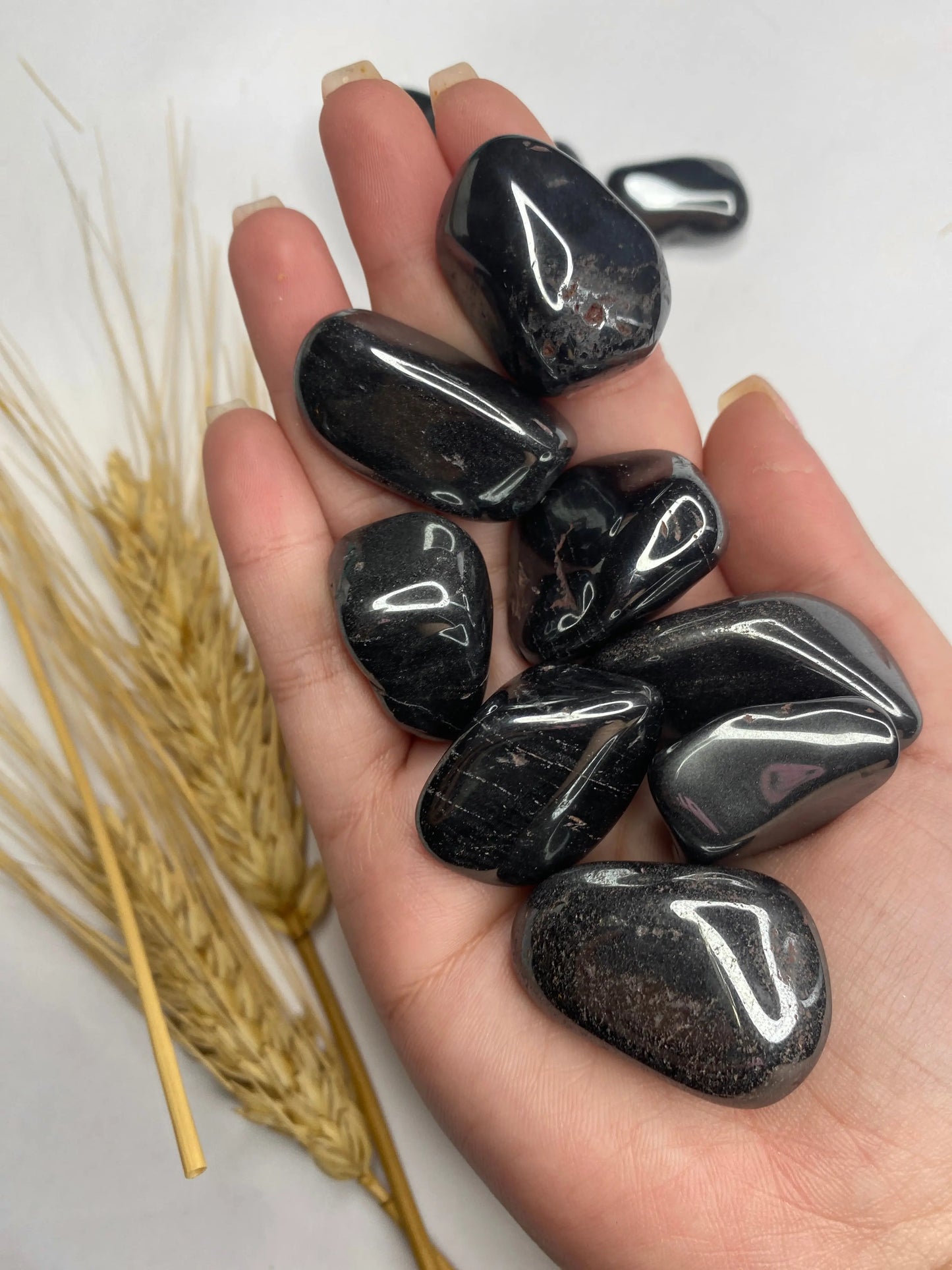המטייט חלוק נחל | הגנה | יציבות | קרקוע Phoenix Crystals