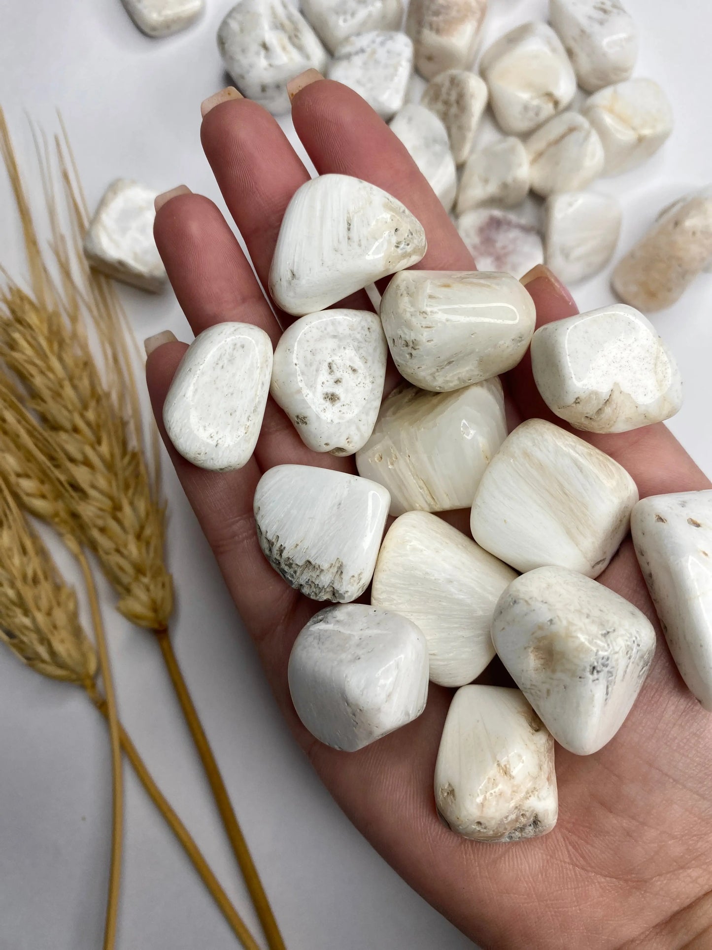 סקולסייט חלוק נחל | רוגע | קבלה | חיוביות Phoenix Crystals