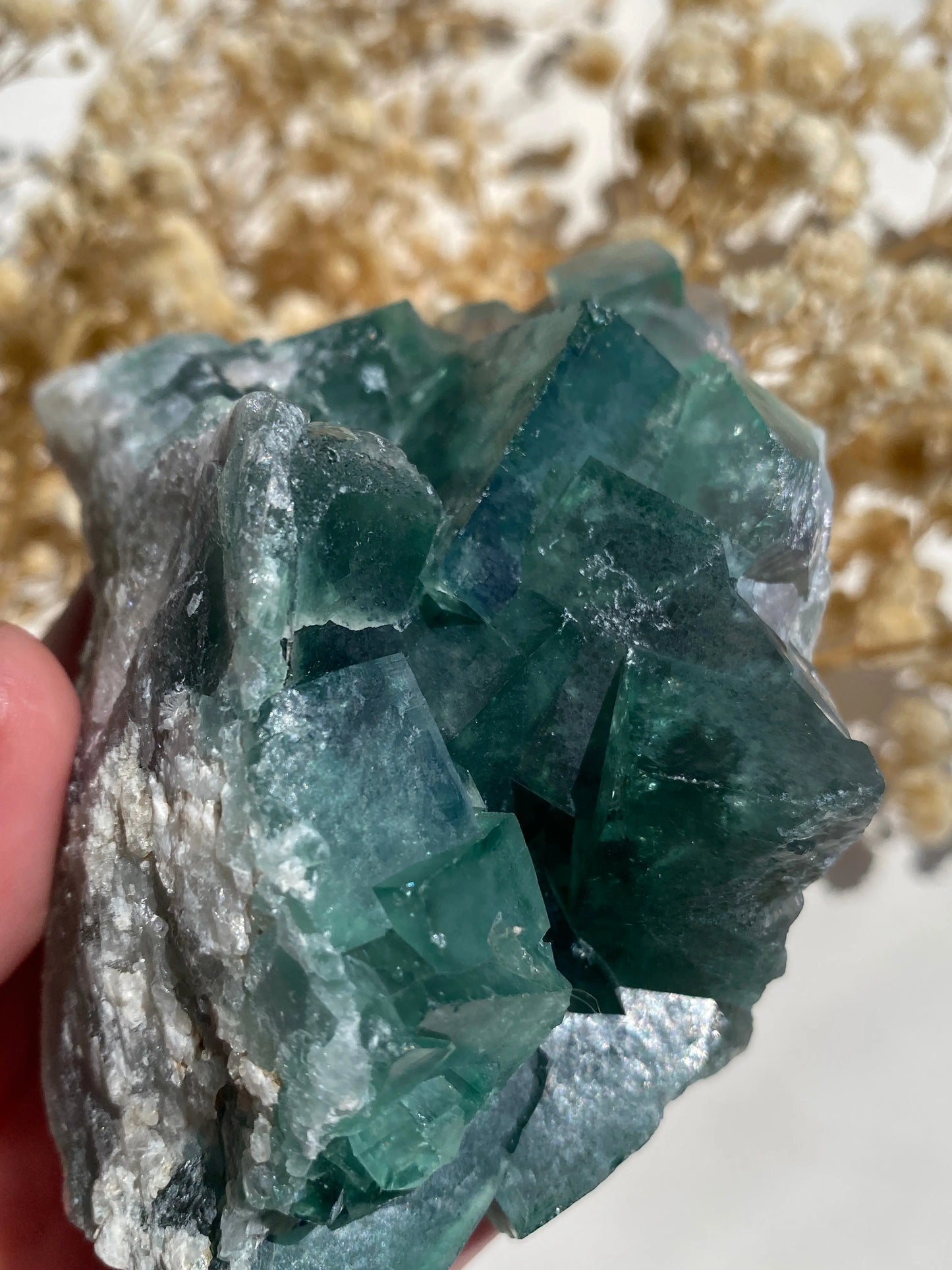 קריסטל פלואורייט מאחורה