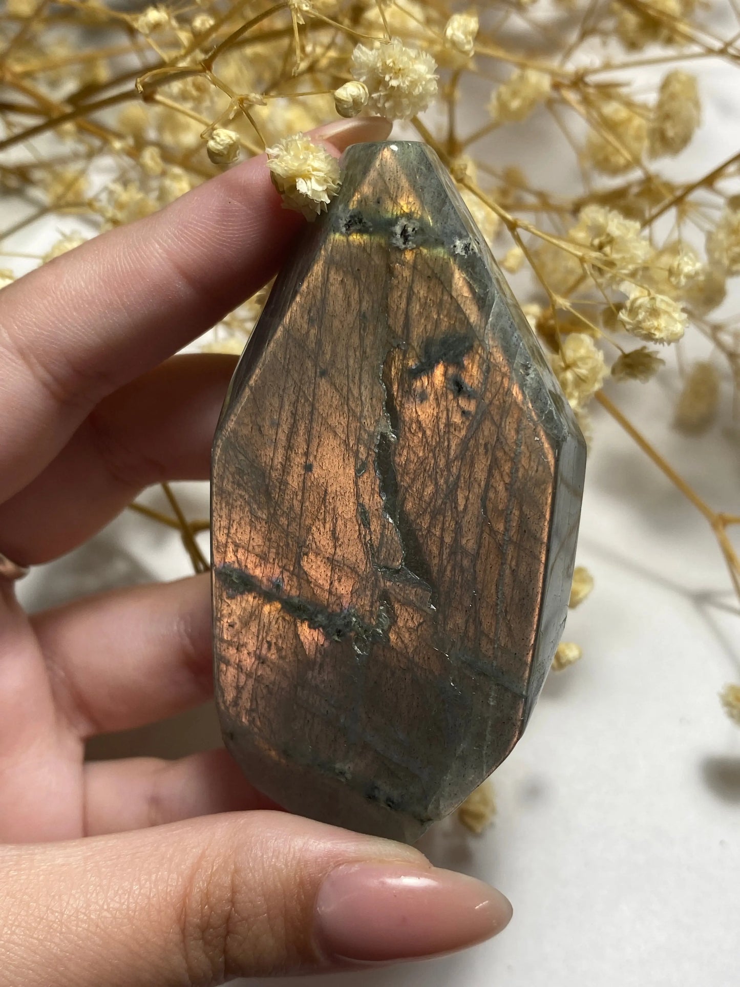 לברדורייט צורה חופשית | אינטואיציה | עין שלישית | שינויים Phoenix Crystals - פניקס קריסטלים