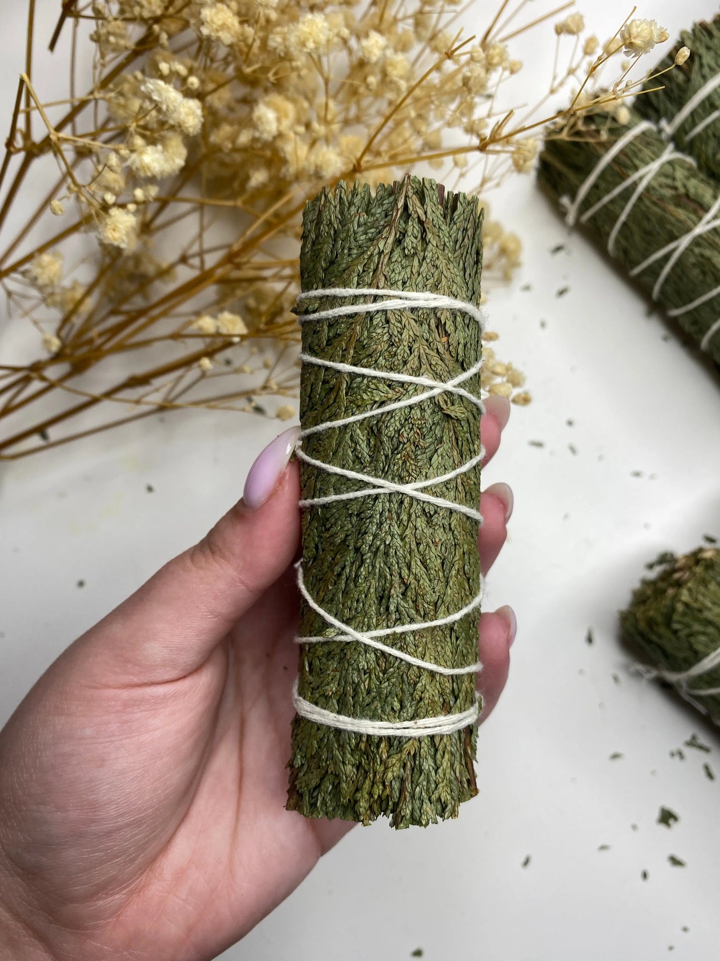 סידר עלי ארז קטורת | הגנה | טיהור | שגשוג Phoenix Crystals - פניקס קריסטלים