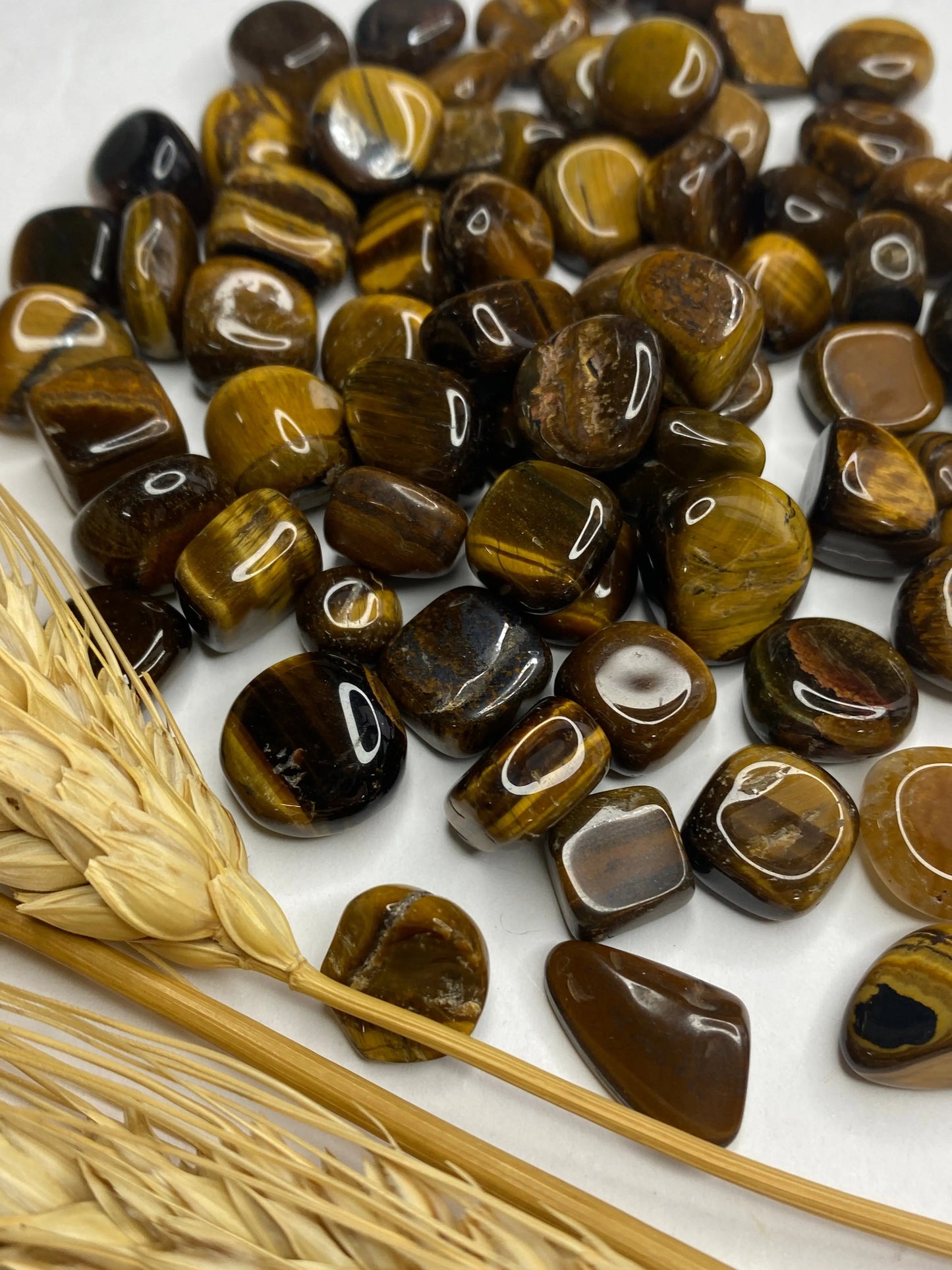 עין הנמר חלוק נחל | יציבות | בטחון עצמי | שחרור Phoenix Crystals - פניקס קריסטלים