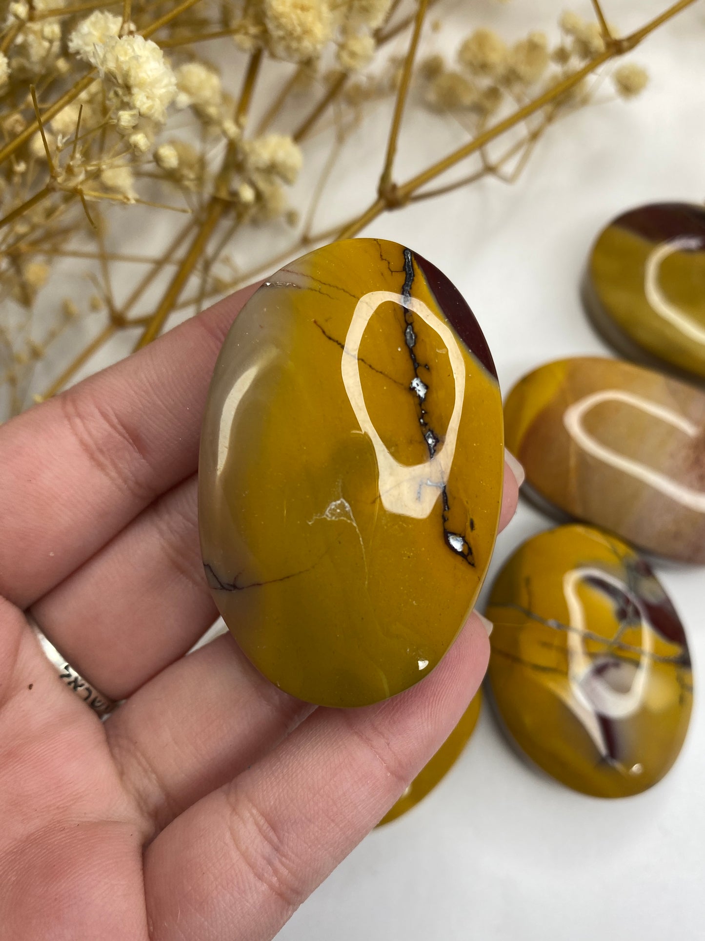 מוקייט פאלם | יציבות | צמיחה | תמיכה