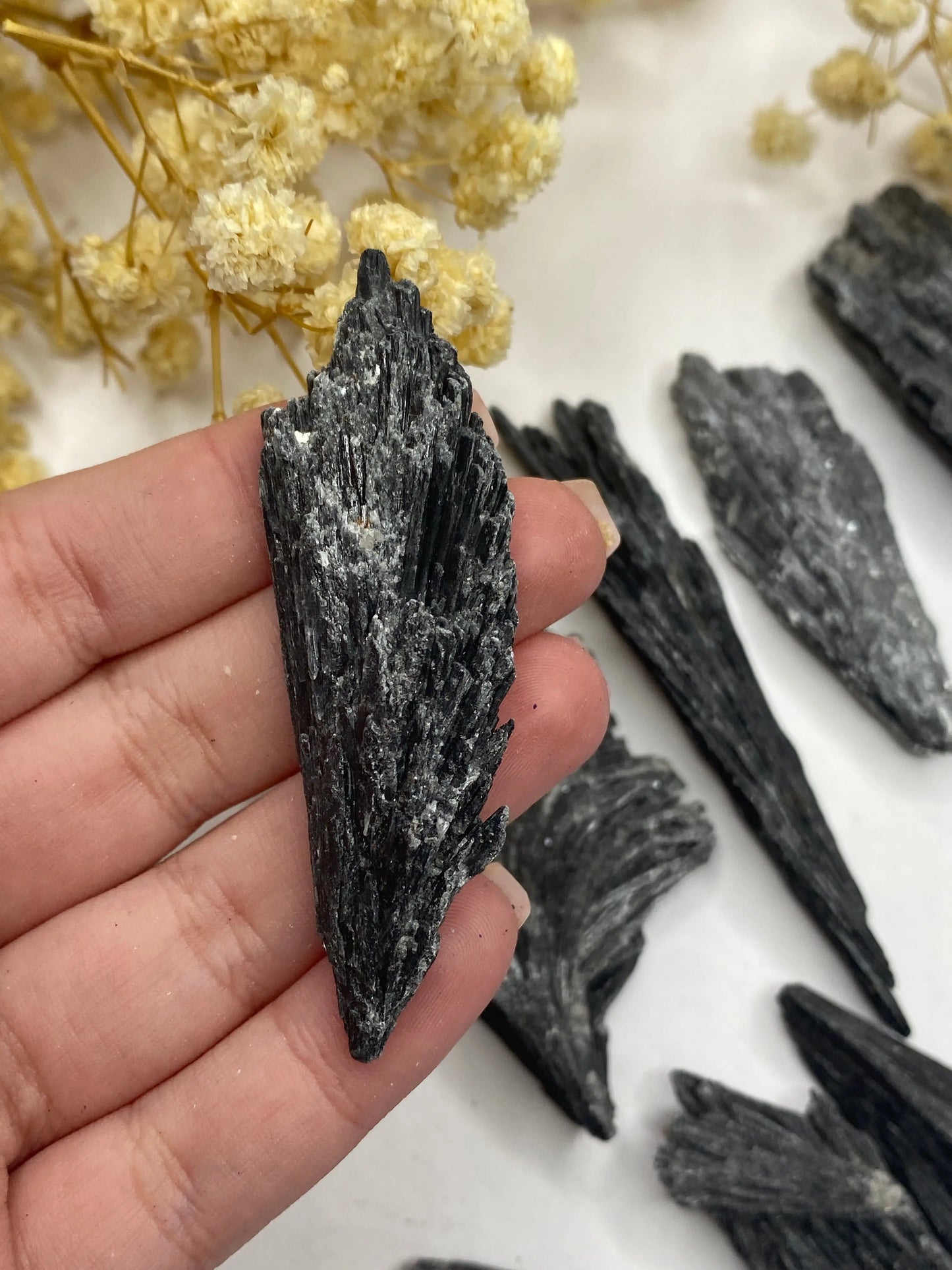 קריסטל קיאנייט שחורה יחידה אחת