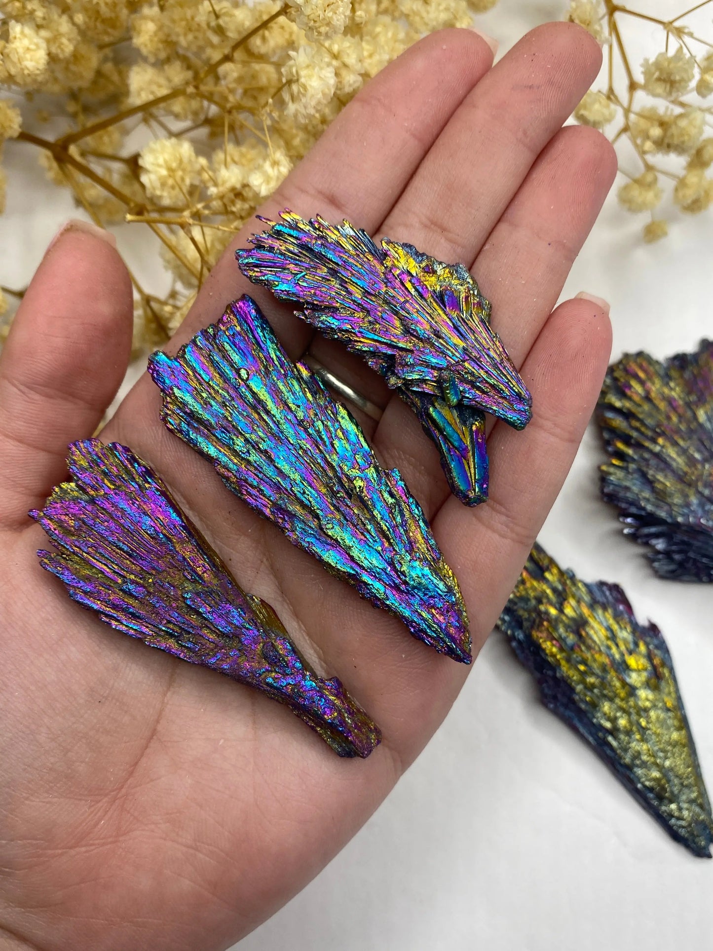 קיאנייט שחורה אאורה | הגנה | שחרור | כח Phoenix Crystals