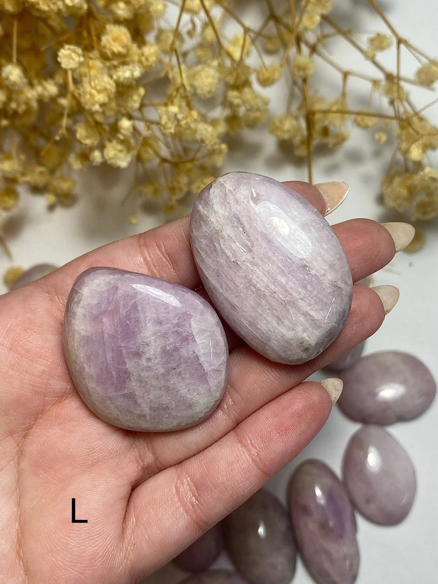 קונזייט פאלם | זוגיות | חמלה | בהירות מחשבתית Phoenix Crystals - פניקס קריסטלים