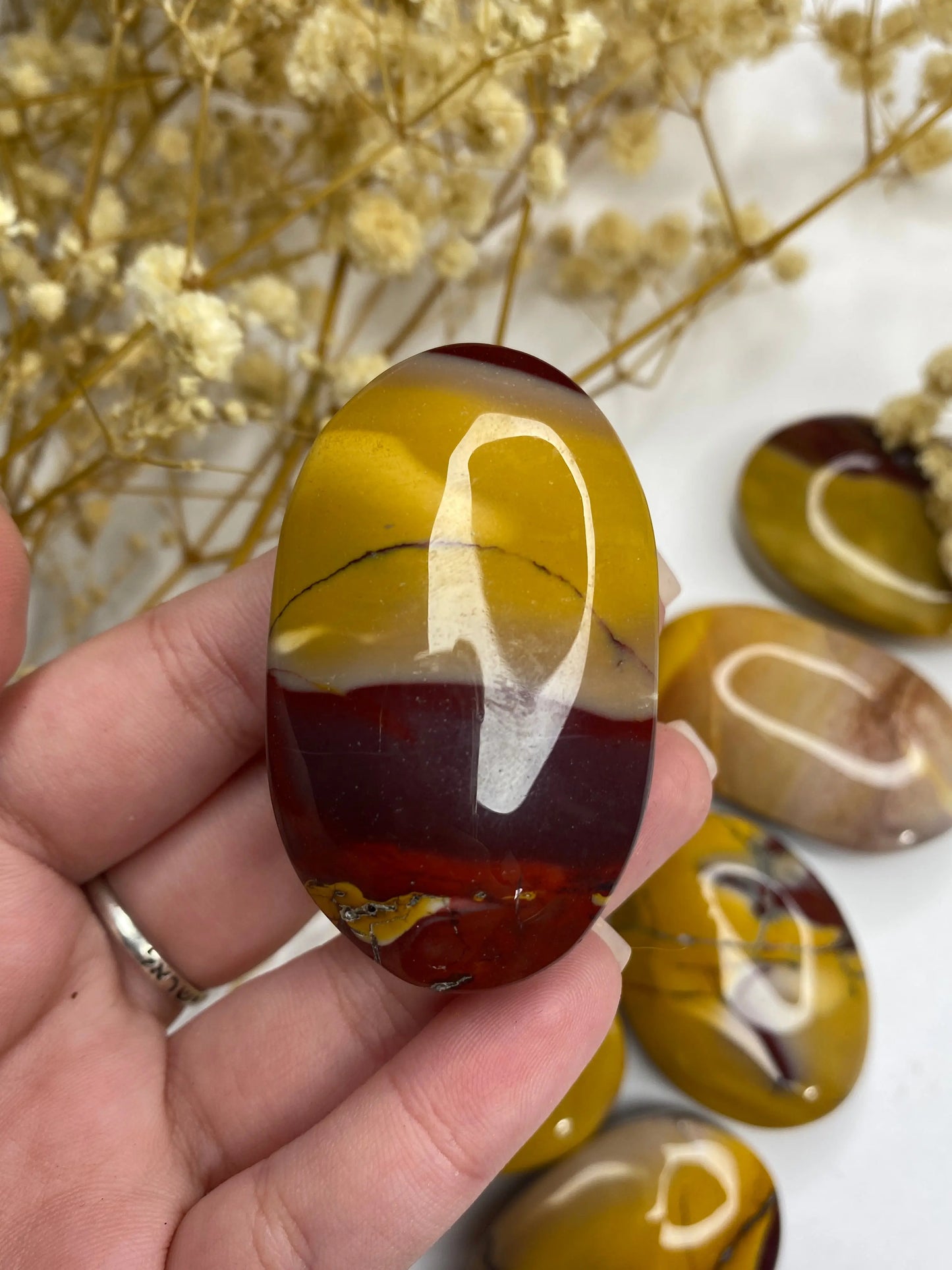 מוקייט פאלם | יציבות | צמיחה | תמיכה Phoenix Crystals