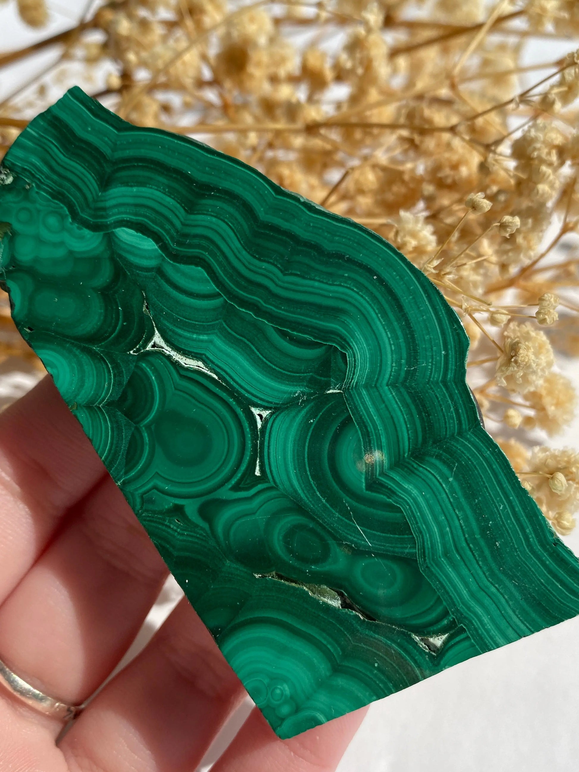 מלאכית פרוסה | הגנה | שינויים | ריפוי Phoenix Crystals - פניקס קריסטלים