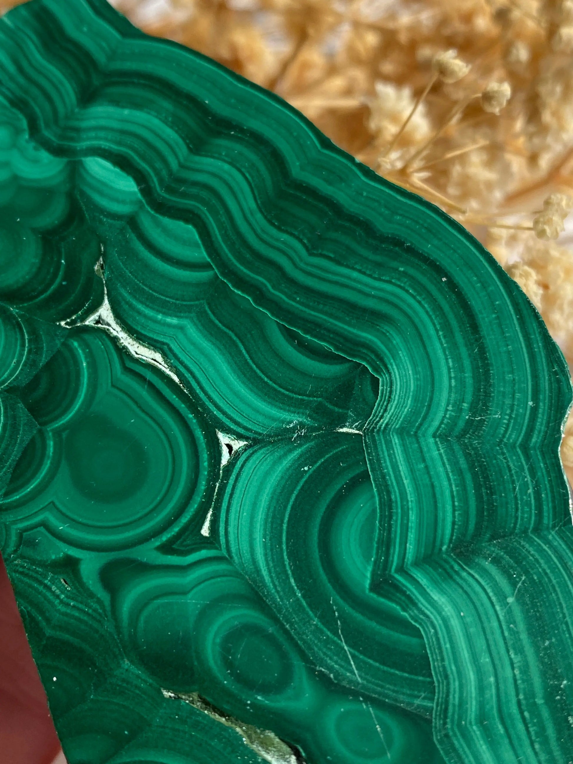 מלאכית פרוסה | הגנה | שינויים | ריפוי Phoenix Crystals - פניקס קריסטלים