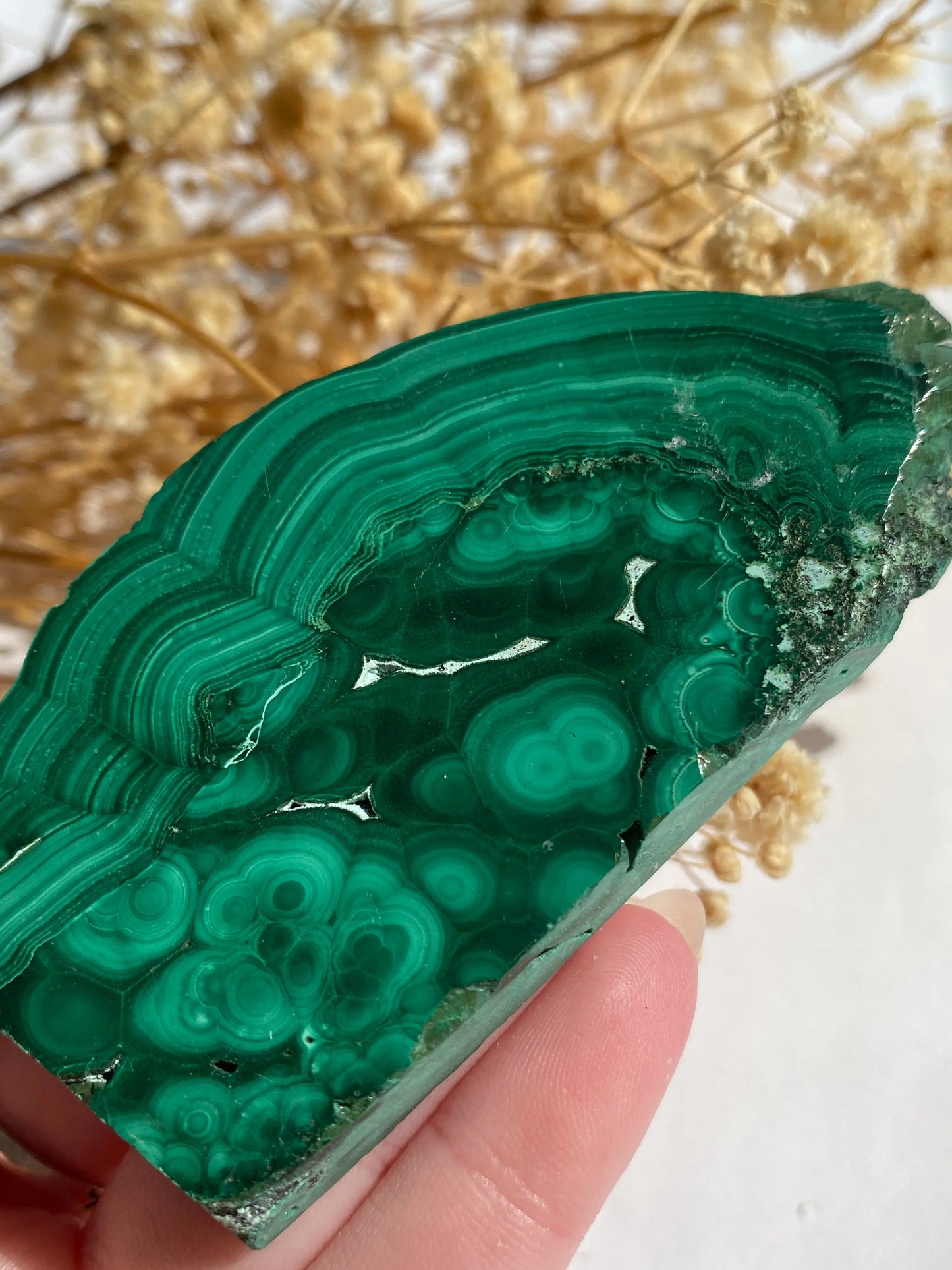 מלאכית פרוסה | הגנה | שינויים | ריפוי Phoenix Crystals - פניקס קריסטלים