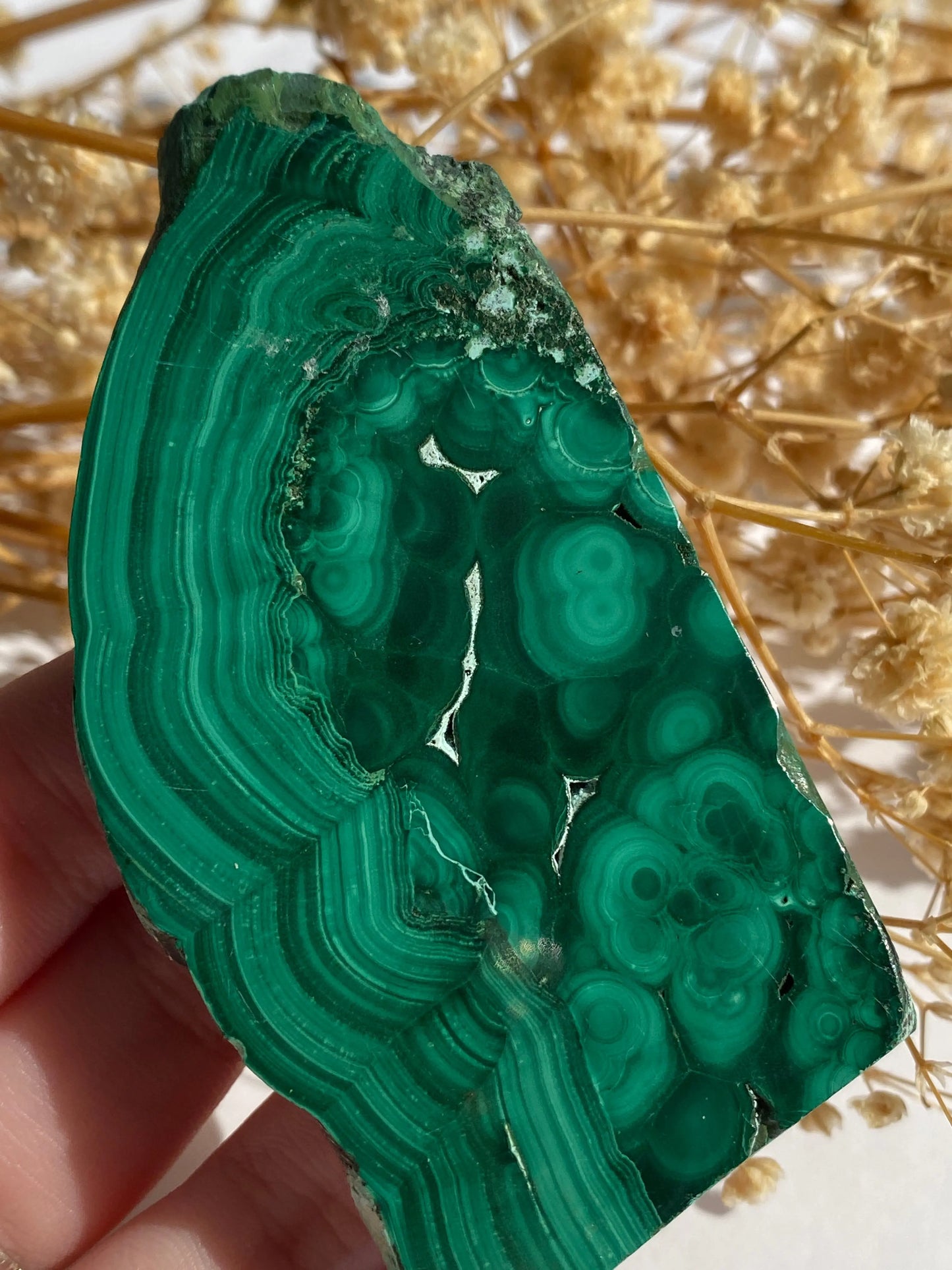 מלאכית פרוסה | הגנה | שינויים | ריפוי Phoenix Crystals - פניקס קריסטלים