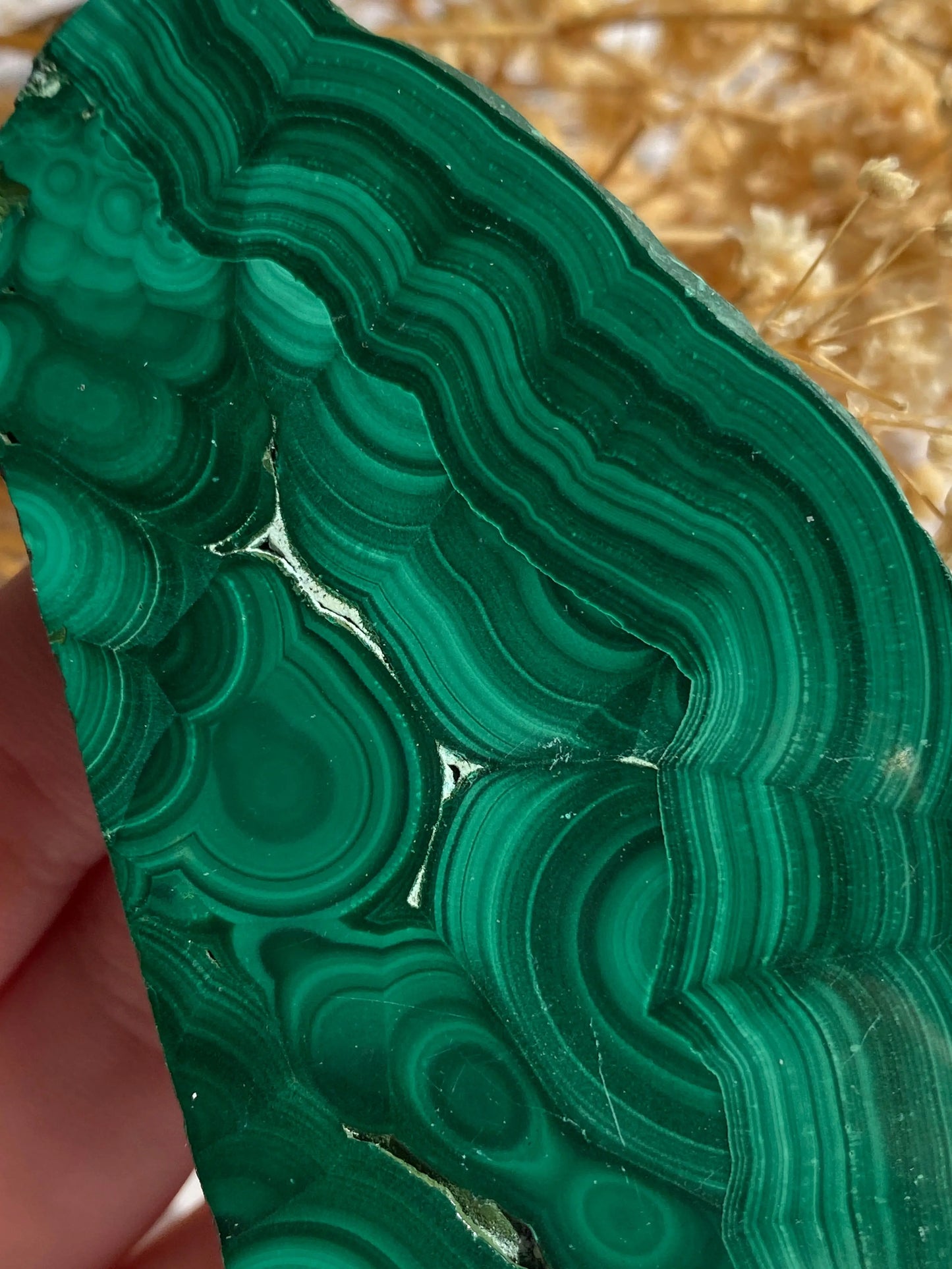 מלאכית פרוסה | הגנה | שינויים | ריפוי Phoenix Crystals - פניקס קריסטלים