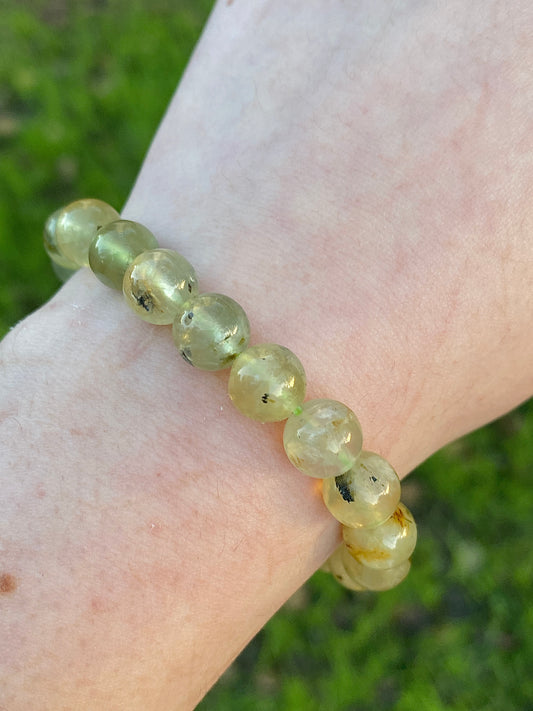 צמיד פריהנייט אפידוט | צמיחה |  איזון | חיזוק הלב