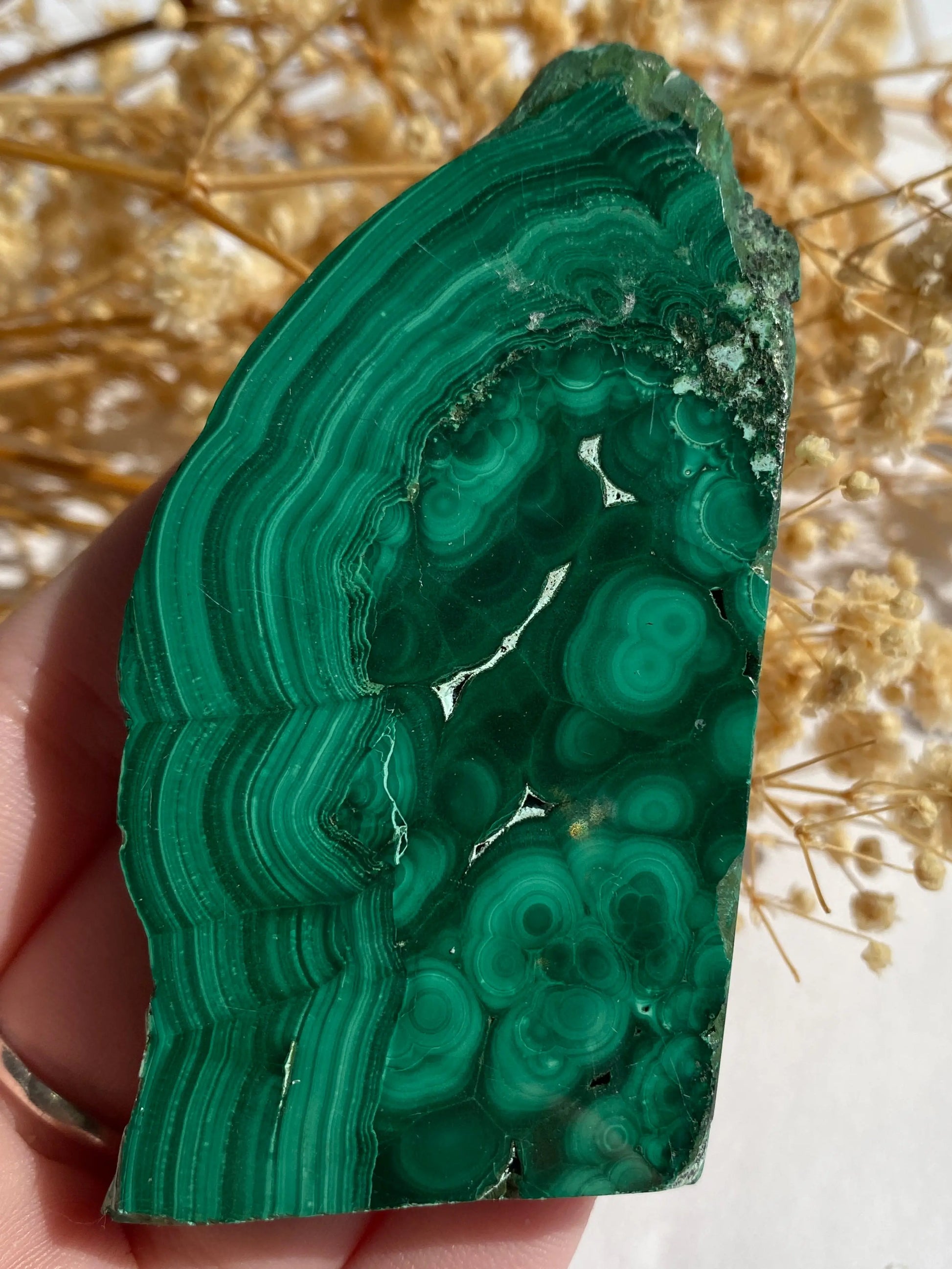 מלאכית פרוסה | הגנה | שינויים | ריפוי Phoenix Crystals - פניקס קריסטלים