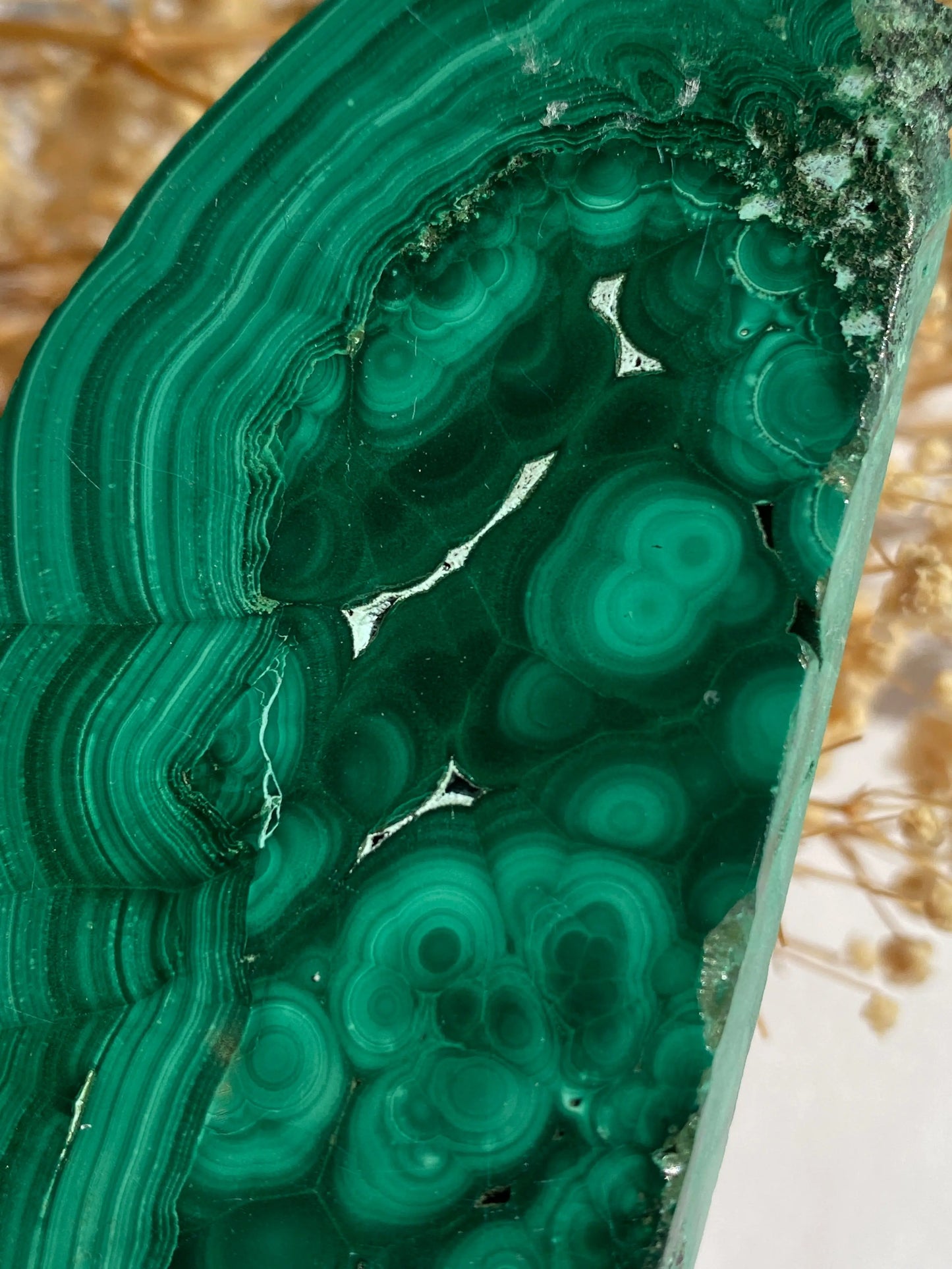 מלאכית פרוסה | הגנה | שינויים | ריפוי Phoenix Crystals - פניקס קריסטלים