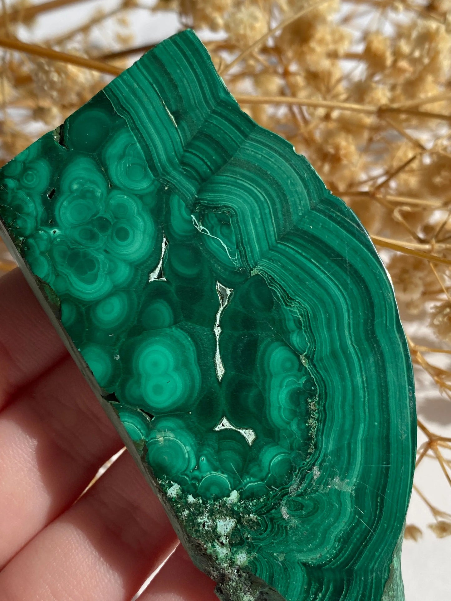 מלאכית פרוסה | הגנה | שינויים | ריפוי Phoenix Crystals - פניקס קריסטלים