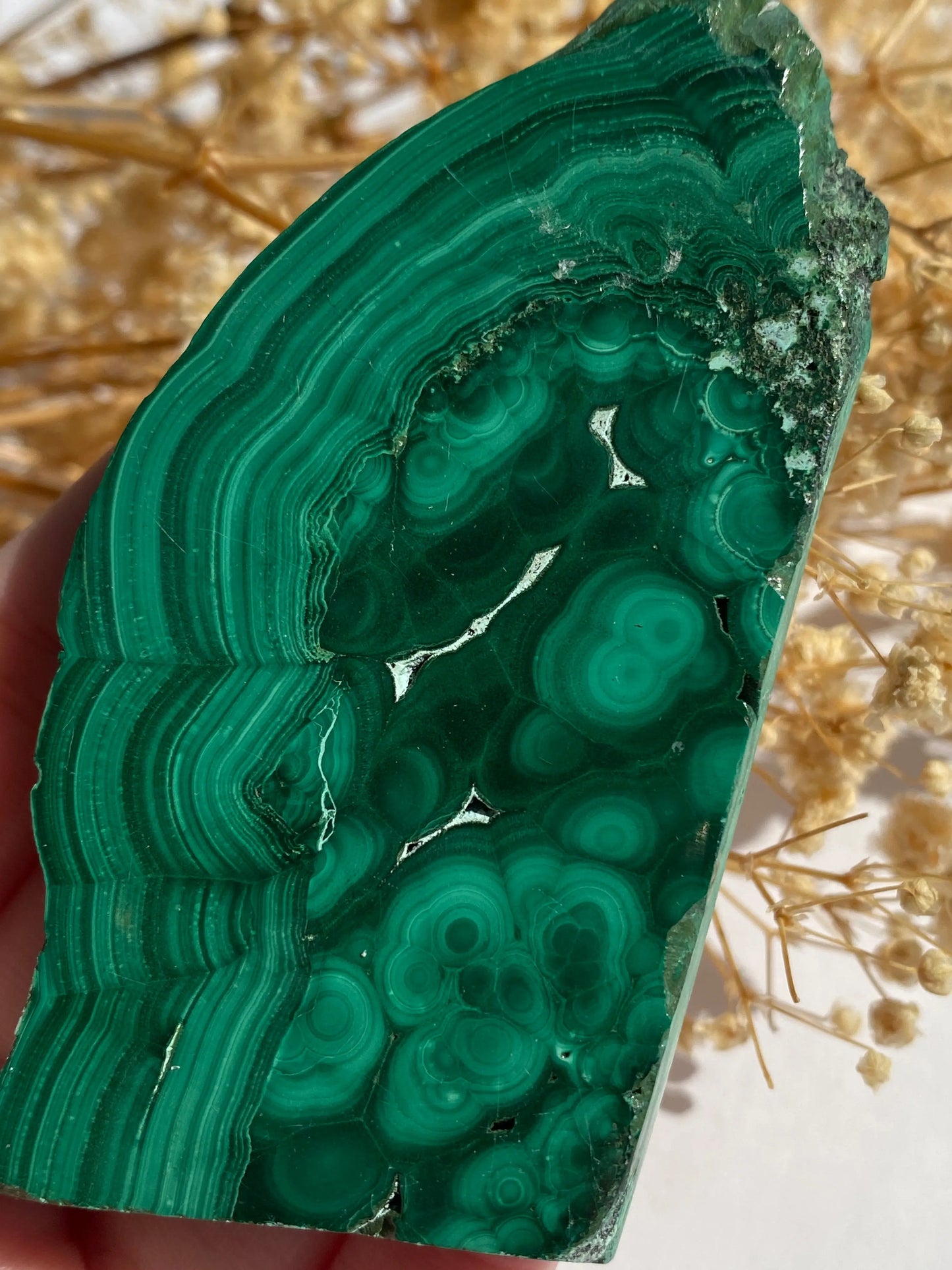 מלאכית פרוסה | הגנה | שינויים | ריפוי Phoenix Crystals - פניקס קריסטלים